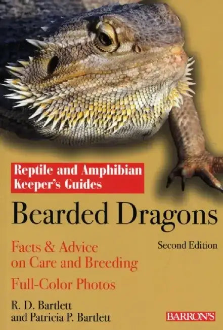 Bearded Dragons by Manfred Au