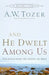 And He Dwelt Among Us: Teachings from the Gospel of John by A. W. Tozer