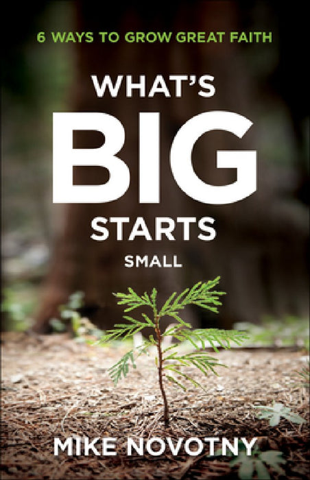 What's Big Starts Small: 6 Ways to Grow Great Faith by Mike Novotny
