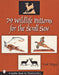 79 Wildlife Patterns for the Scroll Saw by Frank Pozsgai