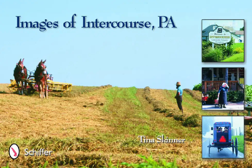 Images of Intercourse by Tina Skinner