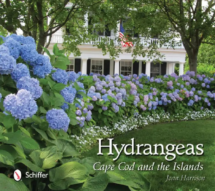 Hydrangeas: Cape Cod and the Islands by Joan Harrison