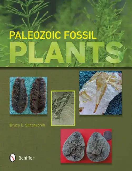 Paleozoic Fossil Plants by Bruce L. Stinchcomb
