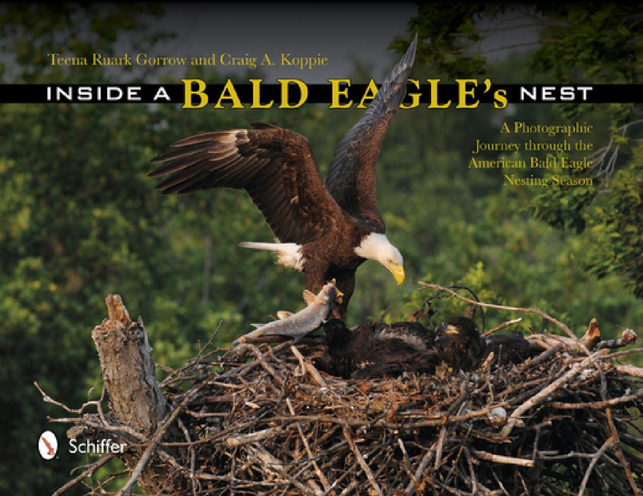 Inside a Bald Eagle's Nest by Teena Ruark Gorrow