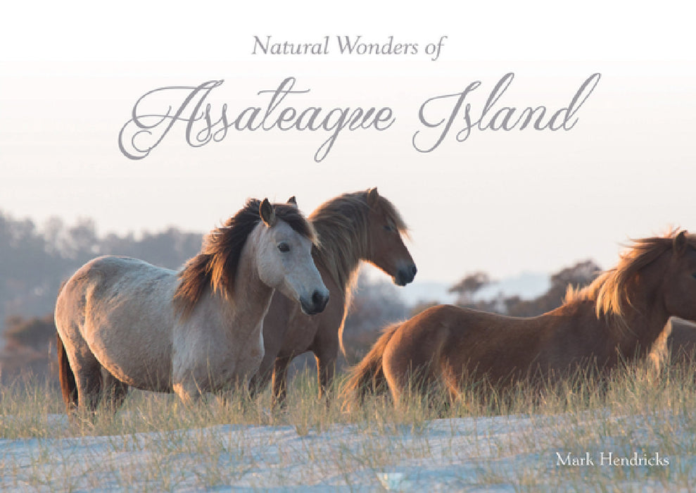 Natural Wonders of Assateague Island by Mark Hendricks