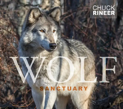 Wolf Sanctuary: The Wolves of Speedwell Forge by Chuck Rineer