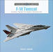 F-14 Tomcat: Grumman's Top Gun from Vietnam to the Persian Gulf by David F. Brown