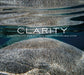 Clarity: A Photographic Dive into Lake Tahoe's Remarkable Water by Dylan Silver