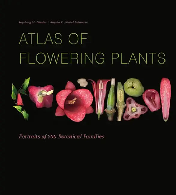 Atlas of Flowering Plants: Visual Studies of 200 Deconstructed Botanical Families by Ingeborg M. Niesler