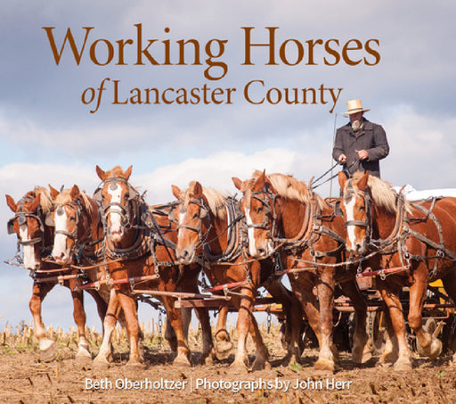 Working Horses of Lancaster County by Beth Oberholtzer, John Herr