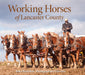 Working Horses of Lancaster County by Beth Oberholtzer, John Herr