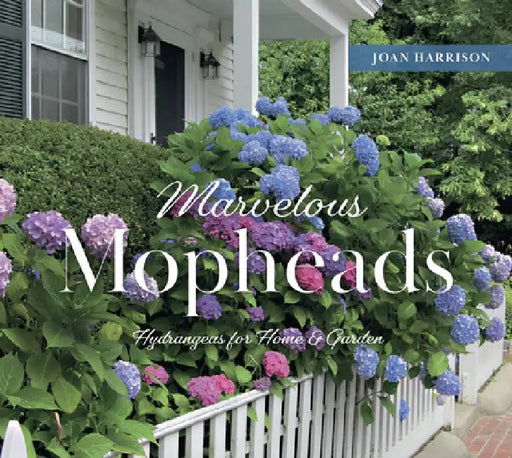 Marvelous Mopheads: Hydrangeas for Home & Garden by Joan Harrison
