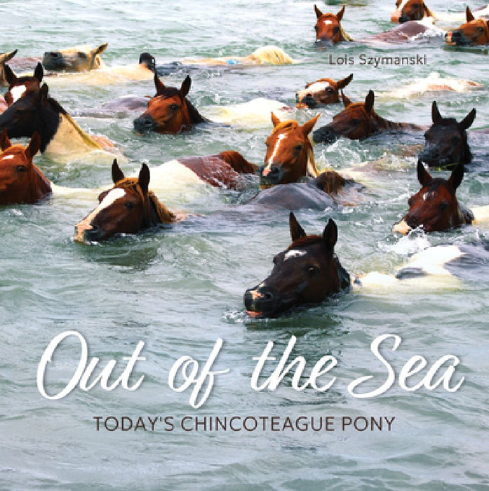 Out of the Sea: Today's Chincoteague Pony (2nd Edition) by Lois Szymanski
