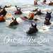 Out of the Sea: Today's Chincoteague Pony (2nd Edition) by Lois Szymanski
