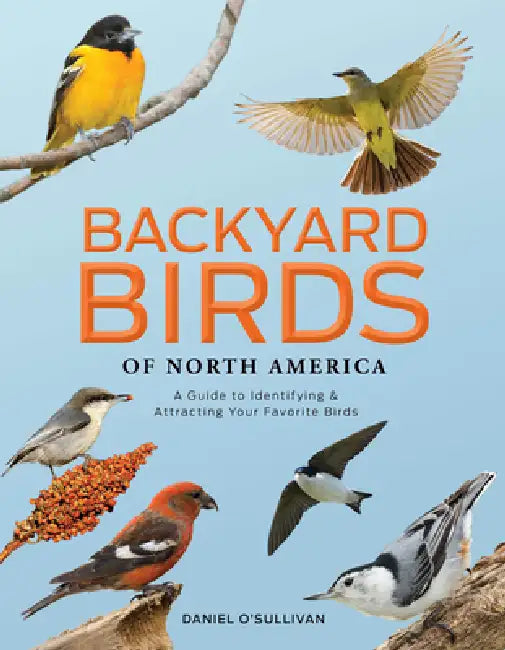 Backyard Birds of North America: A Guide to Identifying and Attracting Your Favorite Birds by Daniel O'Sullivan