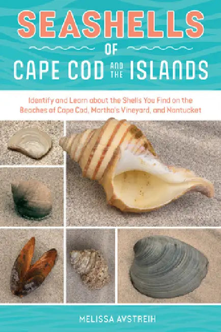 Seashells of Cape Cod and the Islands: Identify and Learn about the Shells You Find on the Beaches of Cape Cod, Martha's Vineyard, and Nantucket by Melissa Avstreih
