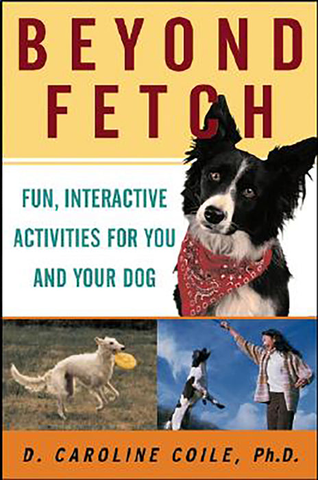 Beyond Fetch: Fun, Interactive Activities for You and Your Dog