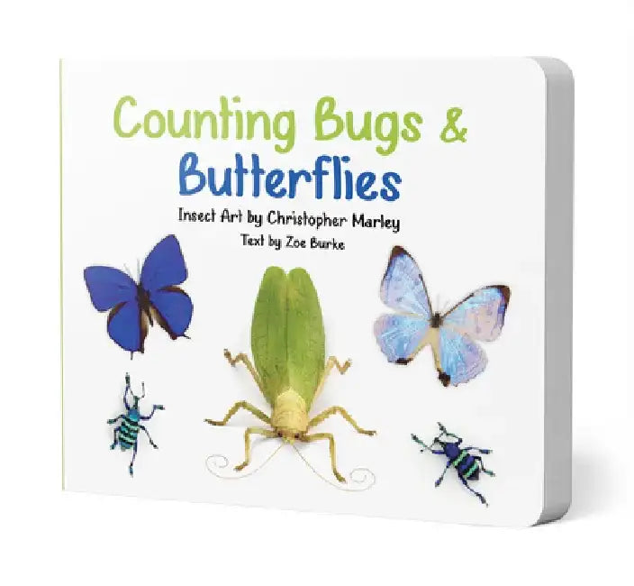 Counting Bugs and Butterflies: Insect Art by Christopher Marley by Zoe Burke