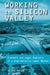 Working in Silicon Valley: Economic and Legal Analysis of a High-Velocity Labor Market by Alan Hyde