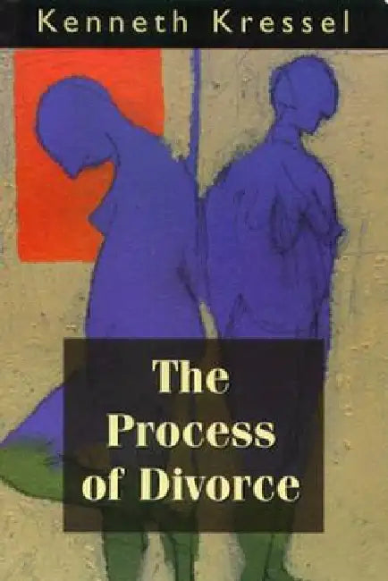 Process of Divorce: Helping Couples Negotiate Settlements by Kenneth Kressel