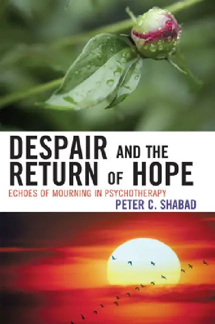 Despair and the Return of Hope: Echoes of Mourning in Psychotherapy by Peter C. Shabad