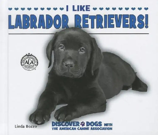 I Like Labrador Retrievers! by Linda Bozzo