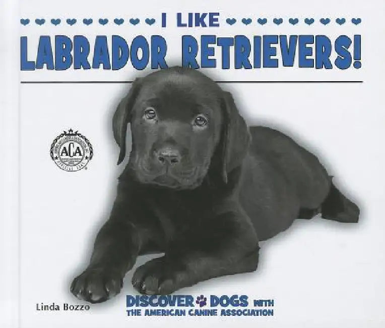 I Like Labrador Retrievers! by Linda Bozzo