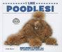 I Like Poodles! by Linda Bozzo