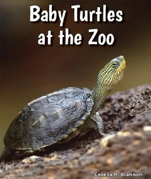 Baby Turtles at the Zoo by Cecelia H. Brannon