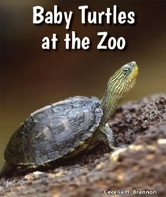Baby Turtles at the Zoo by Cecelia H. Brannon