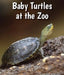 Baby Turtles at the Zoo by Cecelia H. Brannon