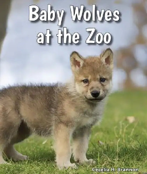 Baby Wolves at the Zoo by Cecelia H. Brannon