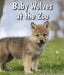 Baby Wolves at the Zoo by Cecelia H. Brannon