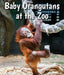 Baby Orangutans at the Zoo by Cecelia H. Brannon