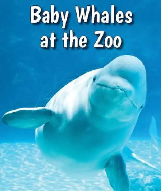 Baby Whales at the Zoo by Cecelia H. Brannon