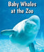 Baby Whales at the Zoo by Cecelia H. Brannon