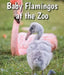 Baby Flamingos at the Zoo by Cecelia H. Brannon