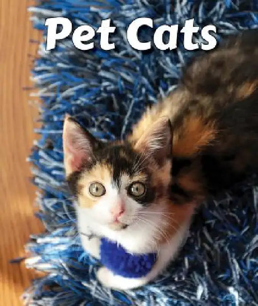 Pet Cats by Cecelia H. Brannon