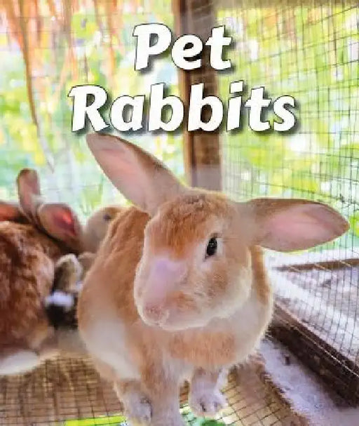 Pet Rabbits by Cecelia H. Brannon