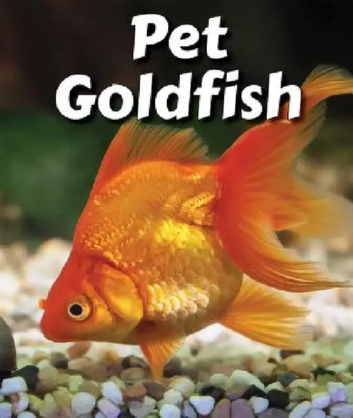 Pet Goldfish by Cecelia H. Brannon