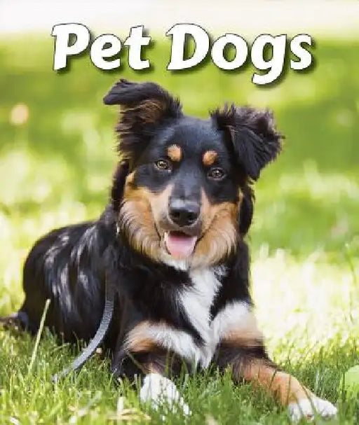 Pet Dogs by Cecelia H. Brannon
