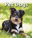 Pet Dogs by Cecelia H. Brannon
