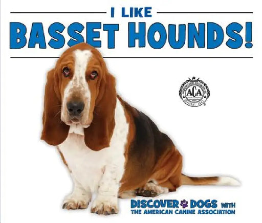 I Like Basset Hounds! by Linda Bozzo