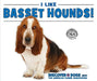I Like Basset Hounds! by Linda Bozzo