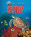 Animals and Fish by Jill Sherman