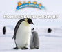 How Penguins Grow Up by Lisa Idzikowski