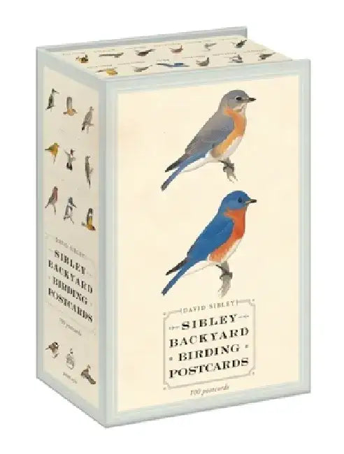 Sibley Backyard Birding Postcards: 100 Postcards by David Sibley