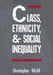 Class, Ethnicity, and Social Inequality by Chrisopher McAll
