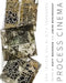 Process Cinema: Handmade Film in the Digital Age by Scott MacKenzie
