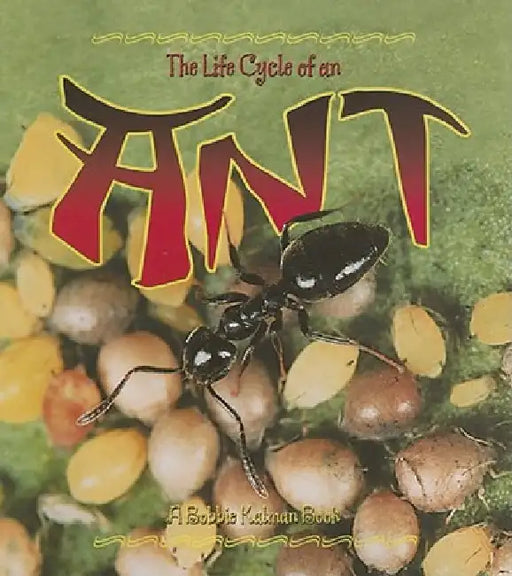 The Life Cycle of an Ant by Hadley Dyer